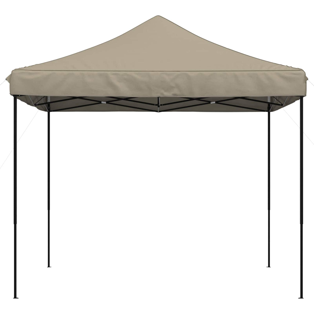 Partytent 292 X 292 X 315 Cm Oxford Stof